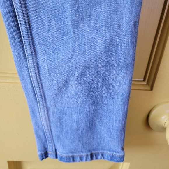 Everlane The Original Cheeky Jean Sz 24 Ankle Color Stone-Wash Sky - Picture 9 of 13